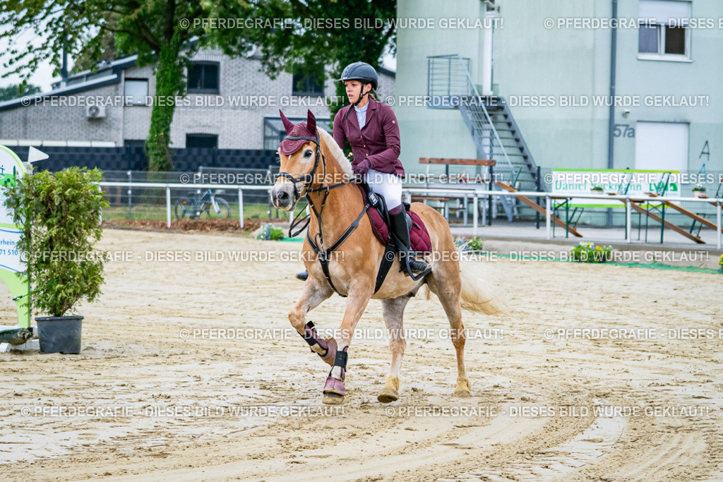 DSC01091 | Pferdegrafie