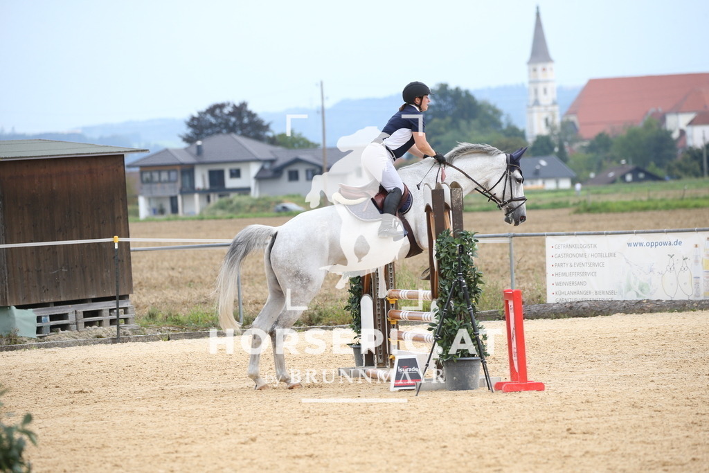 DL2Q3685 | Willkommen bei Brunnmayr - Design & Fotografie – Ihrem Spezialisten für Reitturniere und Pferdeveranstaltungen in Oberösterreich, Salzburg und Bayern! Seit über 17 Jahren sind wir leidenschaftlich dabei.