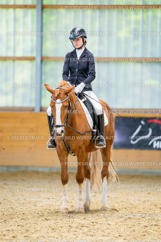 DSC08578 | Pferdegrafie