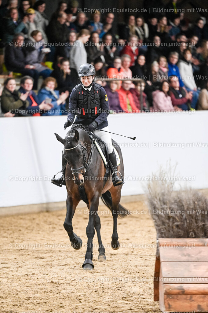 20260307_Hengstvorstellung-Marbach_0455 | equistock