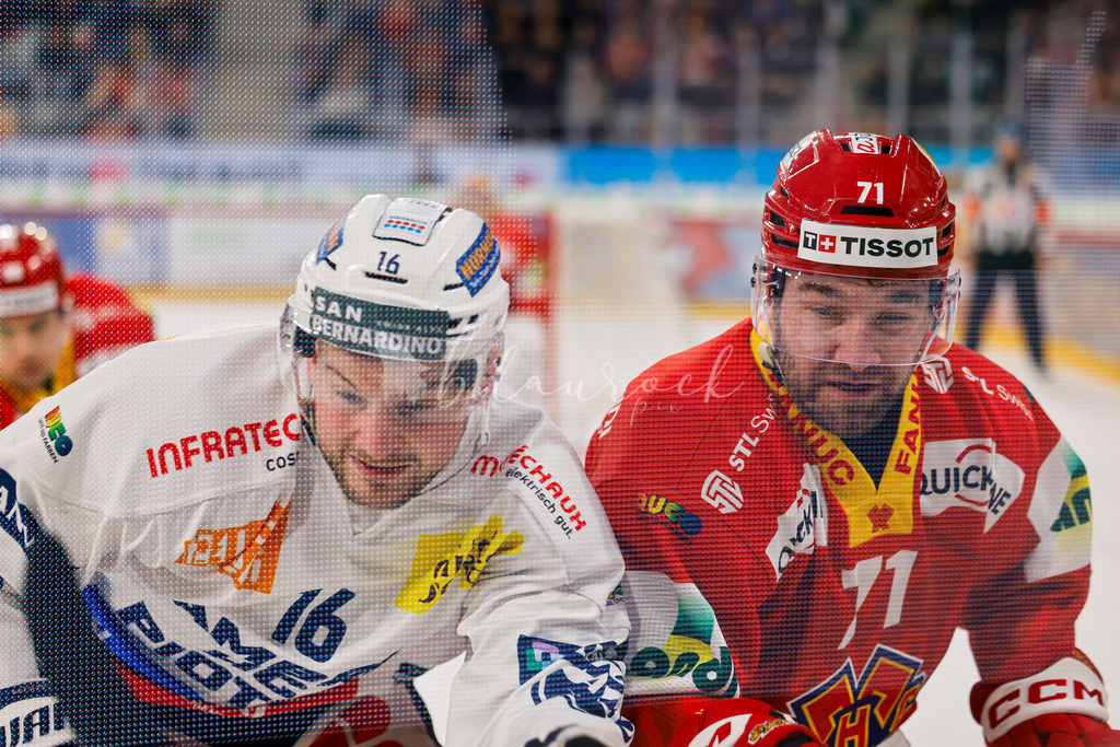 EHCB vs HCAP 20260115_wb-4090 | Sportbilder, Sportfotograf, Hochzeits- und Eventfotografin, Flugshows, Portraits und Tiershooting, Aviation, Downhill, Nationalleague, Swissleague, International