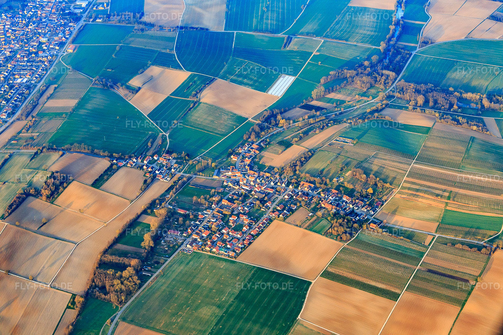 Luftbild: Ortsansicht aus Nordosten im Ortsteil Kleinsteinfeld in Niederotterbach im Bundesland Rheinland-Pfalz in Deutschland. Foto: IMG_076693.jpg vom 28.03.2015 durch Werner Riehm/FLY-FOTO.de