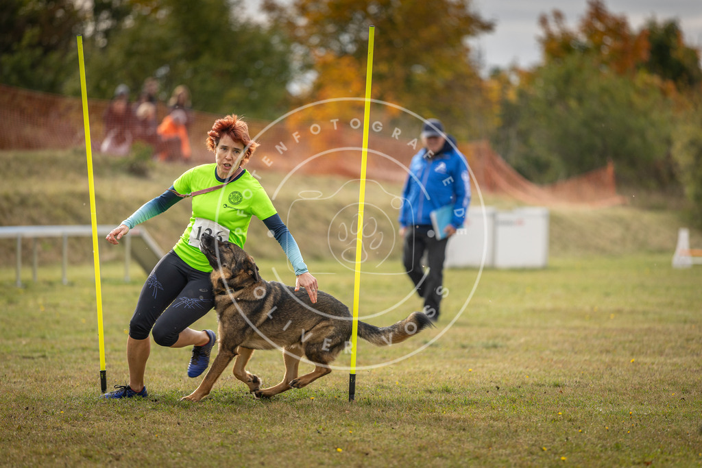 Pfotenfotografie_DV3A7003 | Hundefotografie, Tierfotograf, Pfotenfotografie, Fotoshooting Hund, Hunde Portrait, Hundesport, Hundeportraits, Heideshooting, Hunde, Sportfotograf, Hundefotograf, Turnierhundsport, THS,  - Realisiert mit Pictrs.com