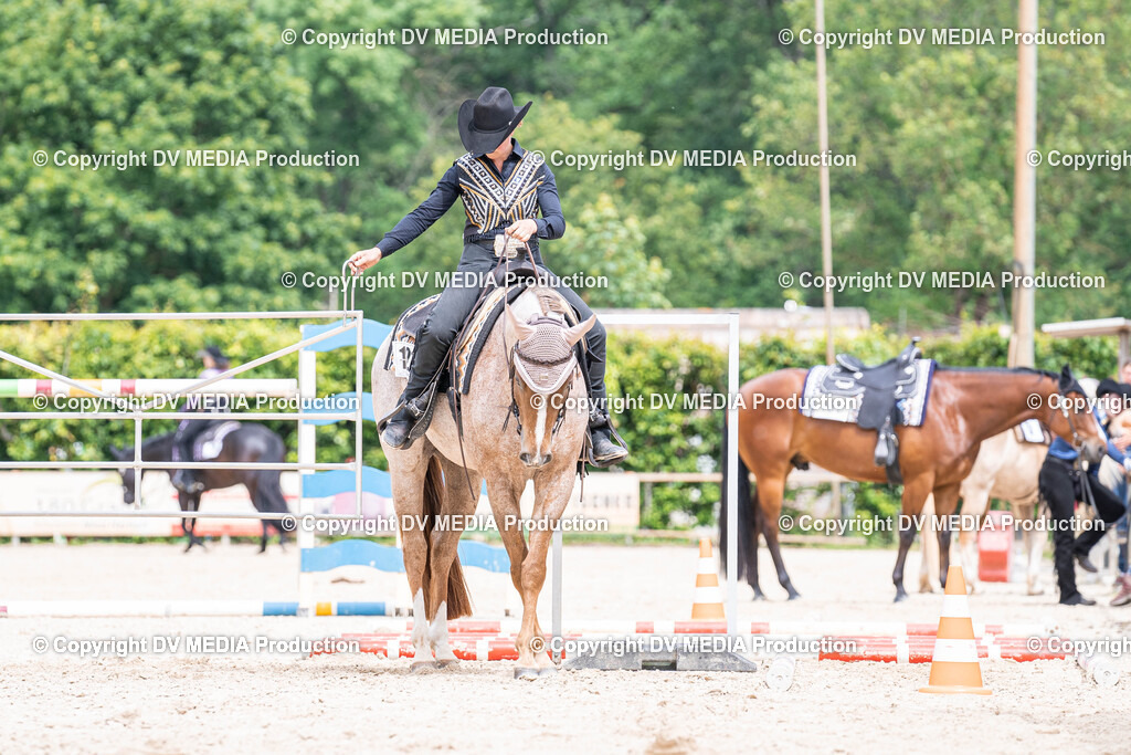 Zeiskam Tag 2-3292 | dv-media-shop - Realisiert mit Pictrs.com