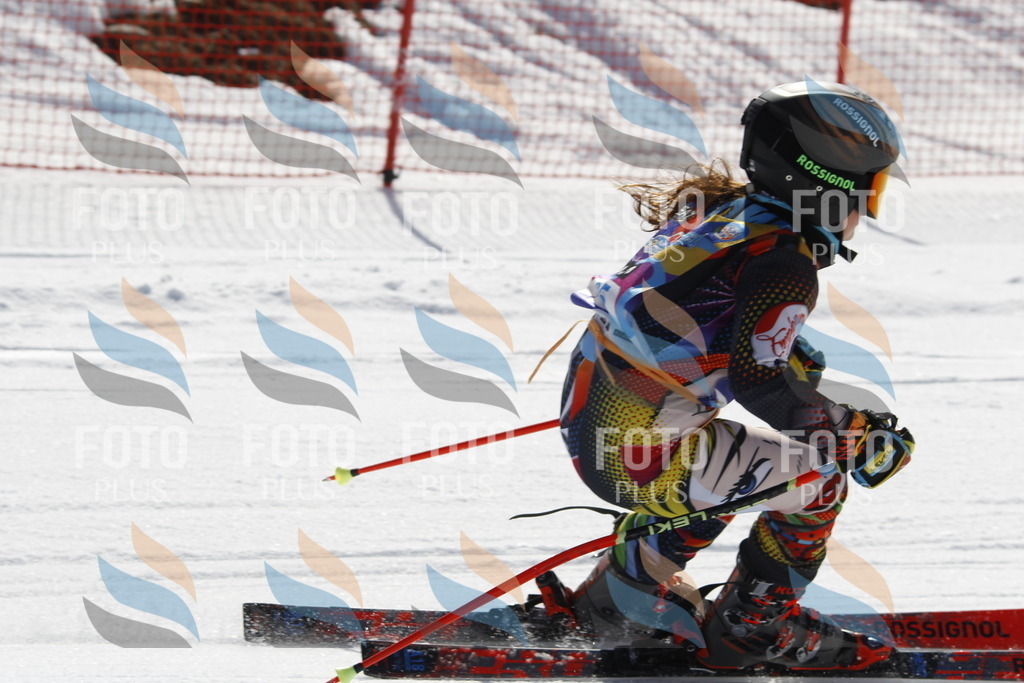 _U3G9142 | holidayphoto