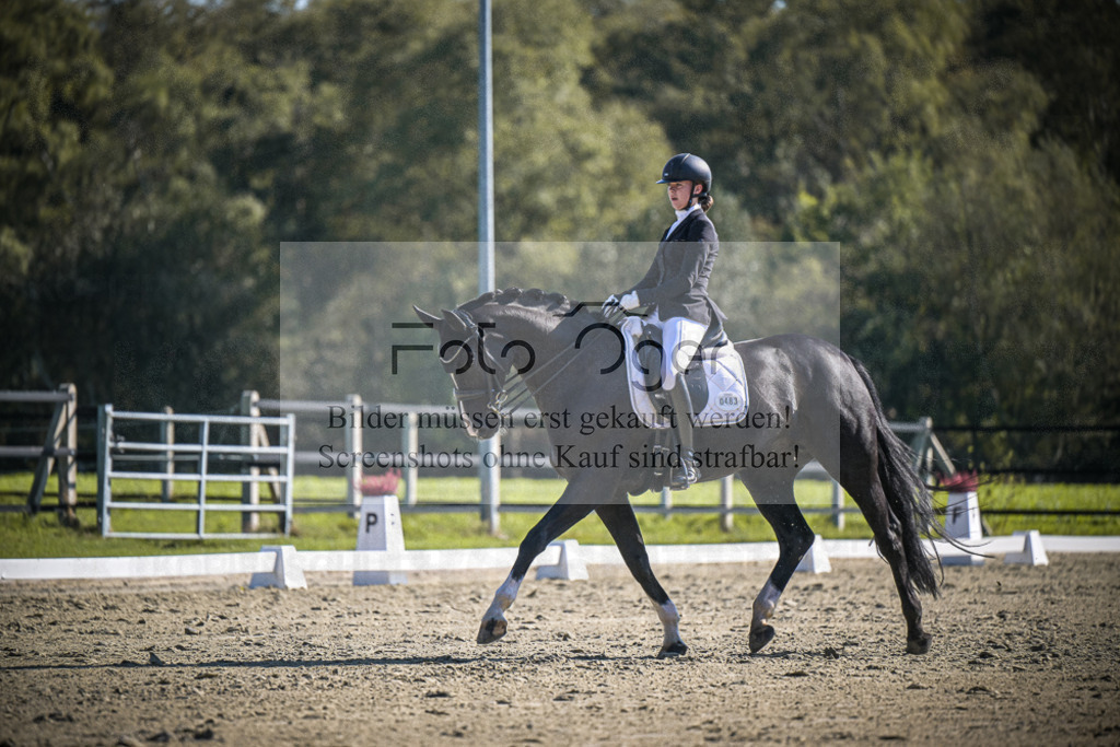 DOS_2381 | Entdecke hochwertige Reitturnierfotos von Foto Oger. Professionell, emotional und authentisch – jetzt Lieblingsmomente im Shop bestellen.Deutschlandweite Turnierfotografie. - Realisiert mit Pictrs.com