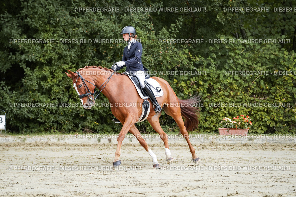 DSC08048 | Pferdegrafie