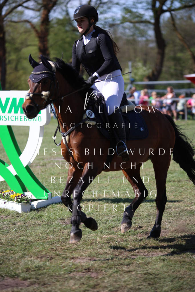 IMGT8948 | pl-fotografie