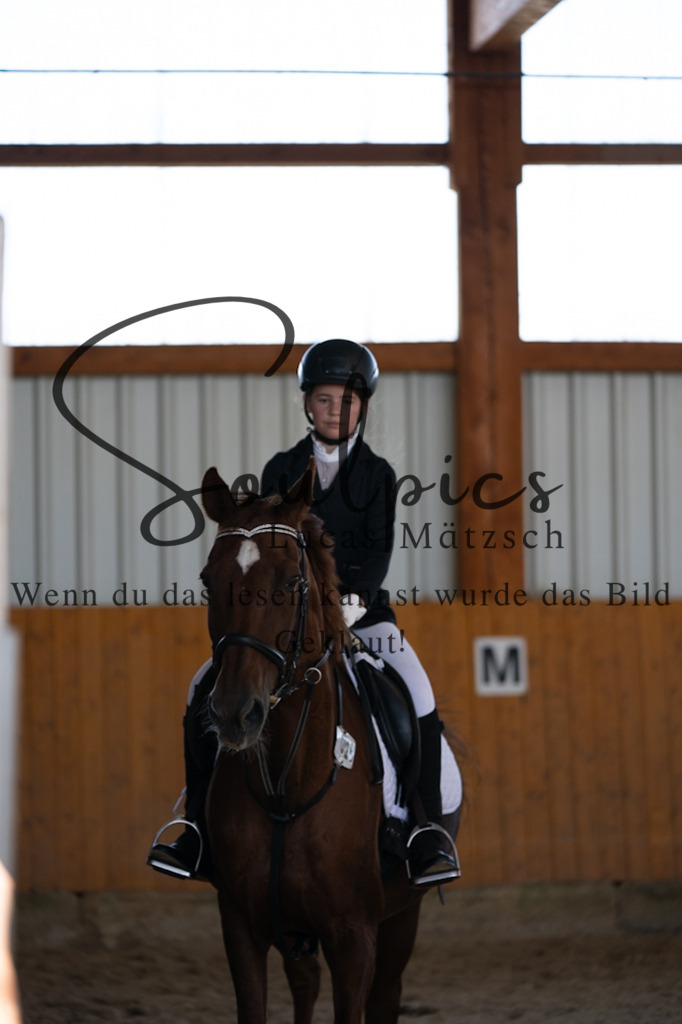 A7V02073 | Turnier/Reitfotograf
