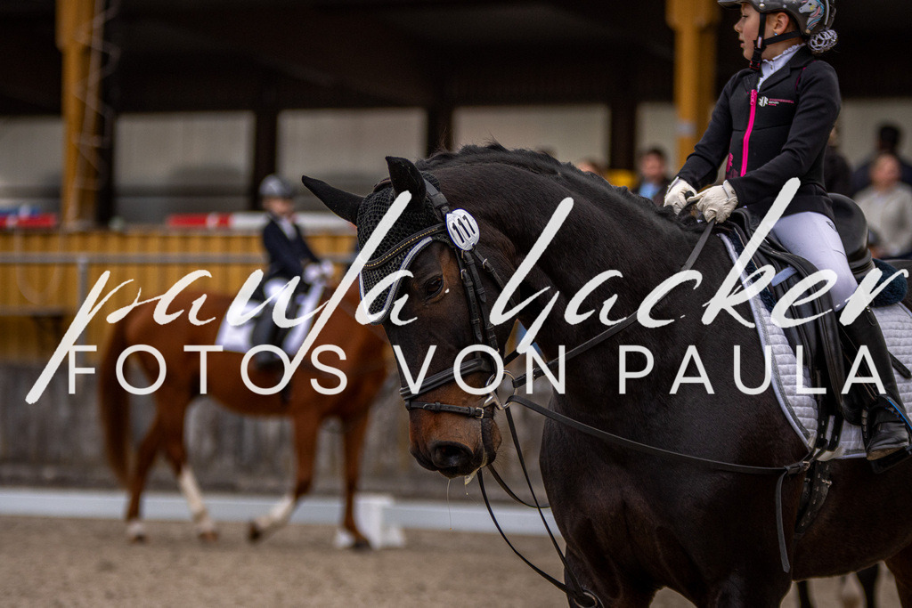 IMG_3571 | Erleben Sie dynamische Sport- und emotionale Tierfotografie in Süddeutschland mit Fotos von Paula. Spezialisiert auf Pferde- und Hundefotografie sowie Sportevents. Kontaktieren Sie mich für einzigartige und ausdrucksstarke Bilder Ihrer besonderen Momente. - Realisiert mit Pictrs.com