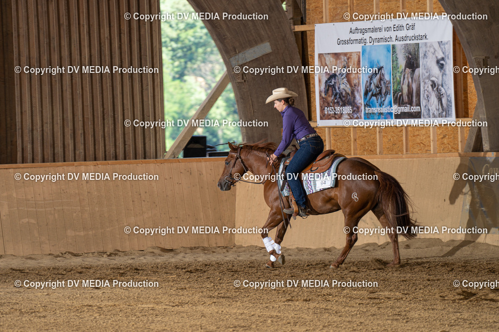 DSC00032 | dv-media-shop - Realisiert mit Pictrs.com