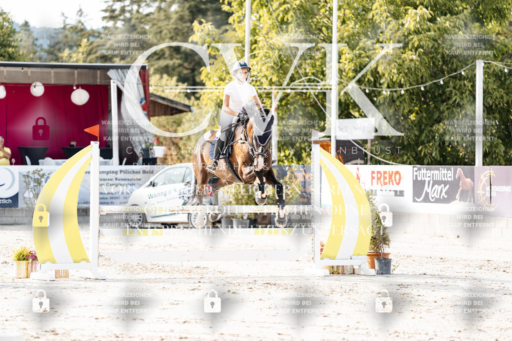 CK905941 | Turnierfotografie Pferdefotografie Trier Rheinland-Pfalz Pferdesport Reitsport Tierfotografie Sportfotografie Pferdevideo Pferdevideografie Equestrianvideography equestrianphotography  - Realisiert mit Pictrs.com