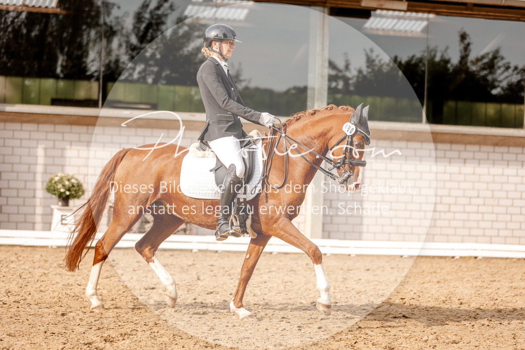 3I6A2838 | Stimmungsvolle Portraits und Reitsportfotografie im Ruhrgebiet und im Münsterland.

Pferdefotografie, Hundefotografie, Tierfotografie, Reportagen, Portraits von Tier und Mensch, Turnierfotografie in Bochum, Recklinghausen, Marl, Haltern am See, Dülmen.. - Realisiert mit Pictrs.com