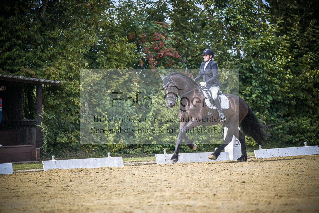 DOS_6710 | Entdecke hochwertige Reitturnierfotos von Foto Oger. Professionell, emotional und authentisch – jetzt Lieblingsmomente im Shop bestellen.Deutschlandweite Turnierfotografie. - Realisiert mit Pictrs.com