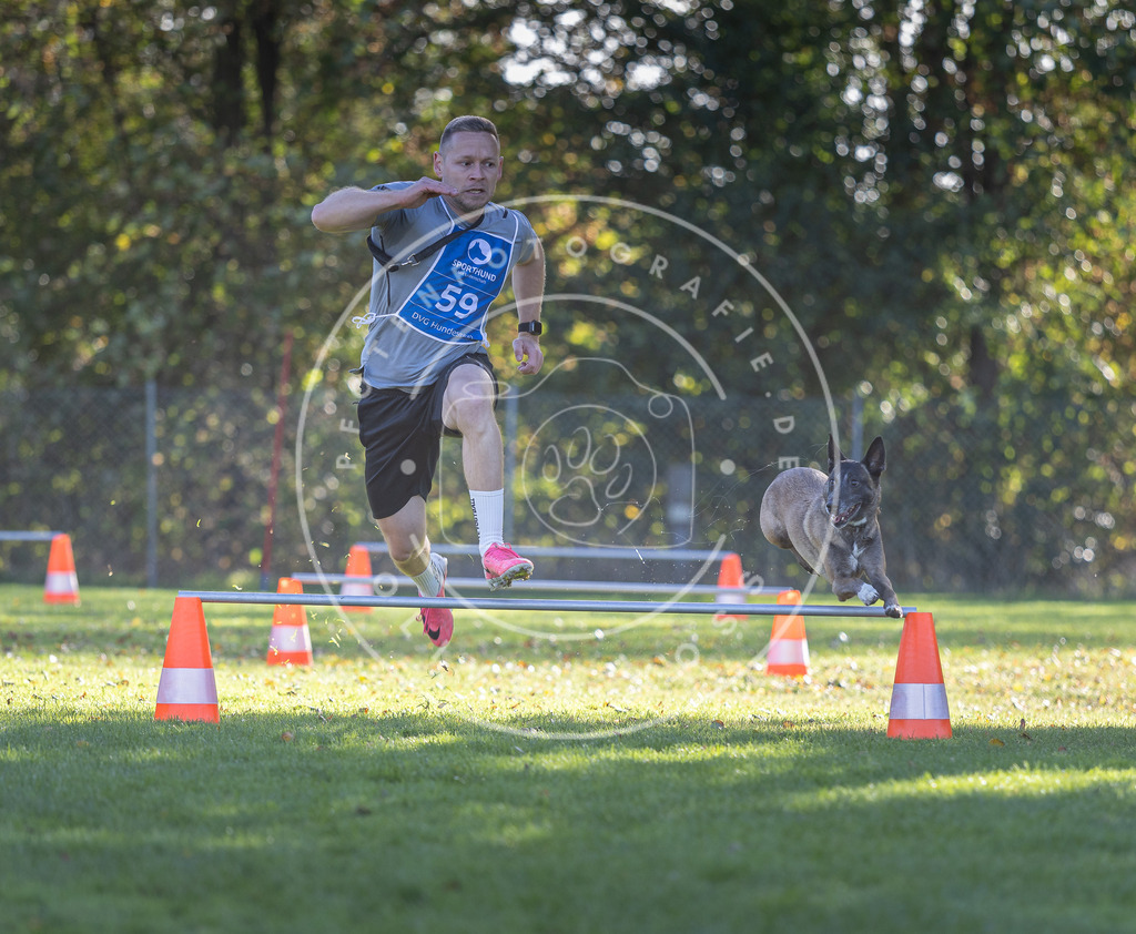 Pfotenfotografie.de_DV3A3209 | Hundefotografie, Tierfotograf, Pfotenfotografie, Fotoshooting Hund, Hunde Portrait, Hundesport, Hundeportraits, Heideshooting, Hunde, Sportfotograf, Hundefotograf, Turnierhundsport, THS, canicross - Realisiert mit Pictrs.com