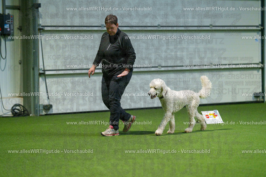 7R505565 | Professionelle Tierfotografie in Mönchengladbach von Daniel Wirth (allesWIRTHgut). Liebevolle & natürliche Bilder von Hunden & Katzen für unvergessliche Erinnerungen.