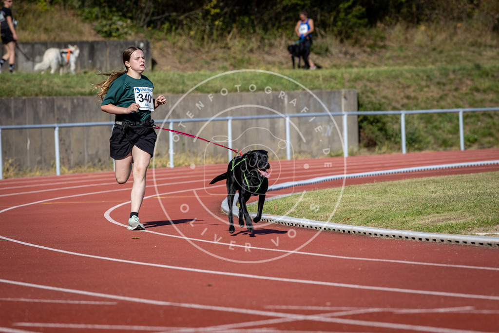 Pfotenfotografie_DV3A8074 | Hundefotografie, Tierfotograf, Pfotenfotografie, Fotoshooting Hund, Hunde Portrait, Hundesport, Hundeportraits, Heideshooting, Hunde, Sportfotograf, Hundefotograf, Turnierhundsport, THS,  - Realisiert mit Pictrs.com