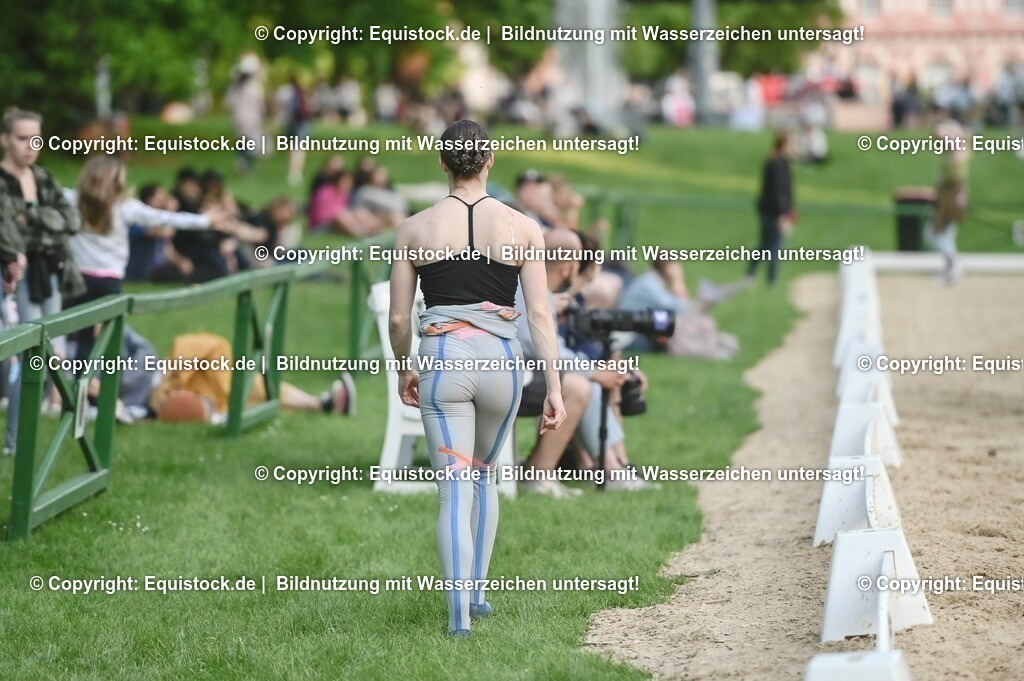 D78_3345 | equistock