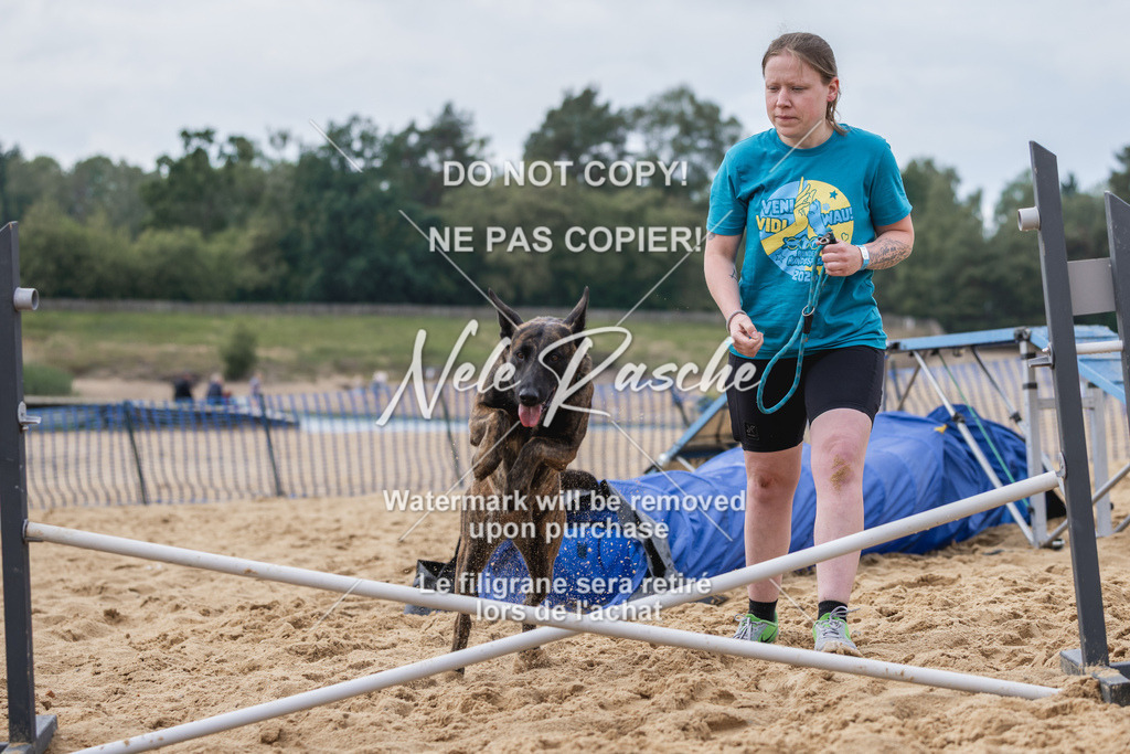nelerasche_BuHu2026_So1530-Ende_98 | nelerasche