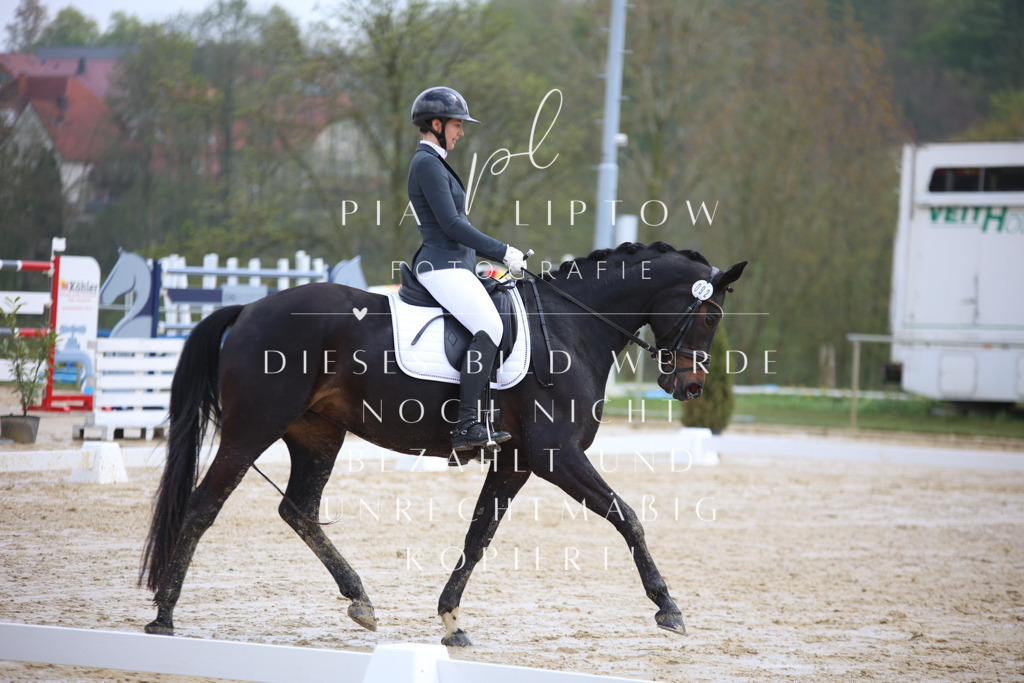 IMGT2956 | pl-fotografie