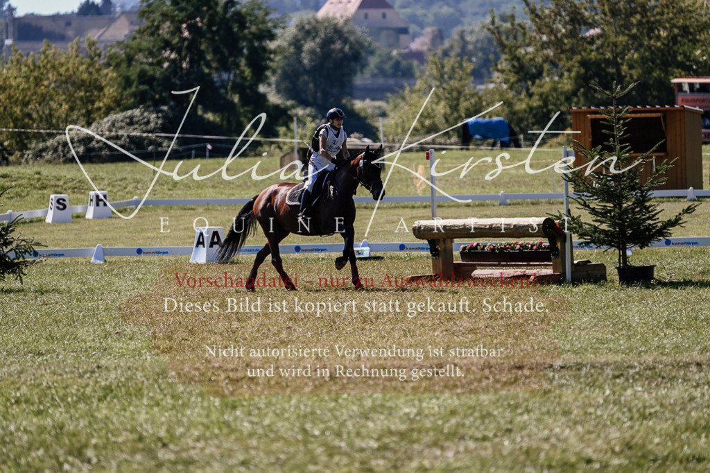 DSC_1741 | Pferde- und Turnierfotografie in Westsachsen. Pferdeportraits, Auftragszeichnungen und intuitive Kunst.
