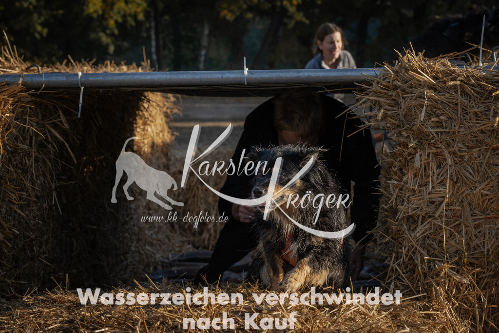 0936_ZZ93837 | kk-dogfotos