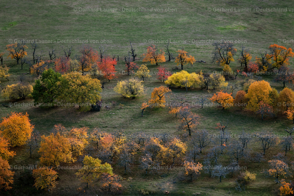 3808226 | Herbstliche Bäume bei Rödlas