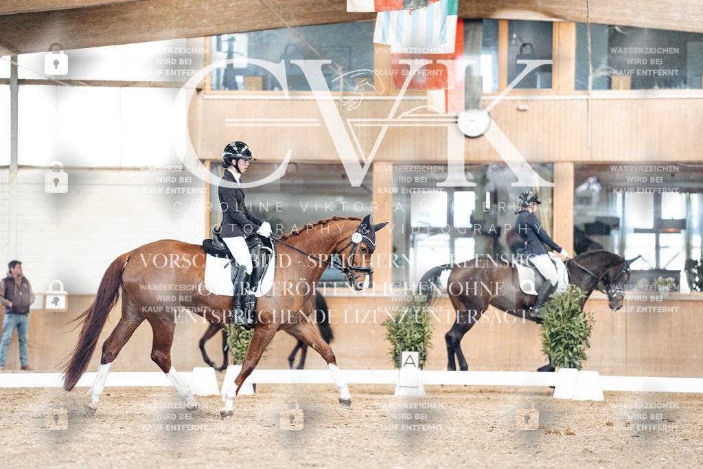 CK901315 | Turnierfotografie Pferdefotografie Trier Rheinland-Pfalz Pferdesport Reitsport Tierfotografie Sportfotografie Pferdevideo Pferdevideografie Equestrianvideography equestrianphotography  - Realisiert mit Pictrs.com