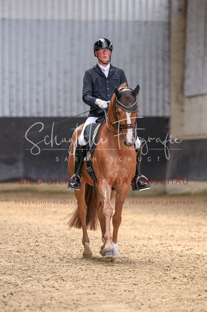 Schugtsche-Aluta25-57.Dressurprf.M1Kand-25 | Schugtsche Fotografie - Realisiert mit Pictrs.com