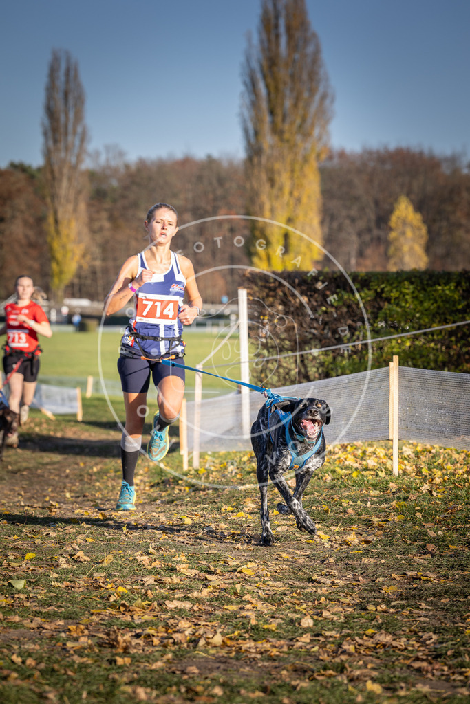 CaniXpix_DV3A1684 | Hundefotografie, Tierfotograf, Pfotenfotografie, Fotoshooting Hund, Hunde Portrait, Hundesport, Hundeportraits, Heideshooting, Hunde, Sportfotograf, Hundefotograf, Turnierhundsport, THS,  - Realisiert mit Pictrs.com