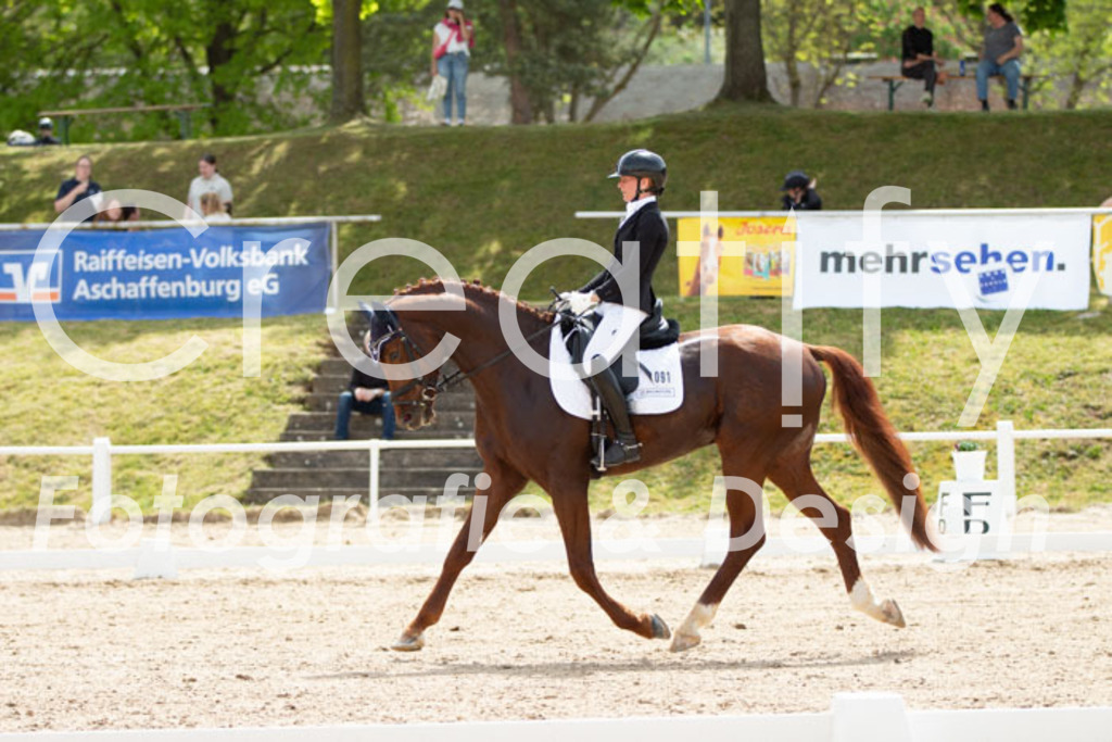 IMG_2559 | Creatify Fotografie