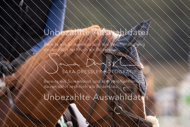 SD_OES26_05708 | saradresslerfotografie - Realisiert mit Pictrs.com