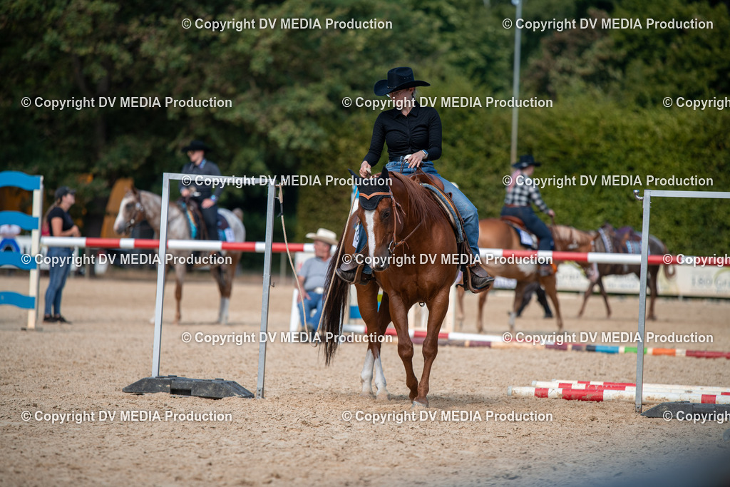 EWP_6858 | dv-media-shop - Realisiert mit Pictrs.com