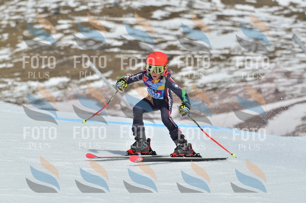 _ELE2167 | holidayphoto