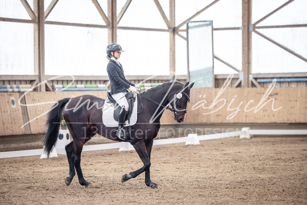 20251011-_3LI0266 | Tierfotografie Pferde, Hunde, Katzen, Haustiere.
Turnierfotografie Reitturniere, Reiten, Springreiten, Dressur in Hanau, dem Main-Kinzig-Kreis und dem Rhein-Main- Gebiet um Frankfurt