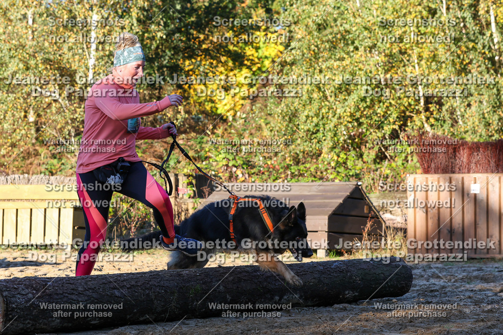 Dog Paparazzi - Strongdog 10-25-908 | Dog Paparazzi Jeanette Grottendiek Fotografie & Videografie - Realisiert mit Pictrs.com