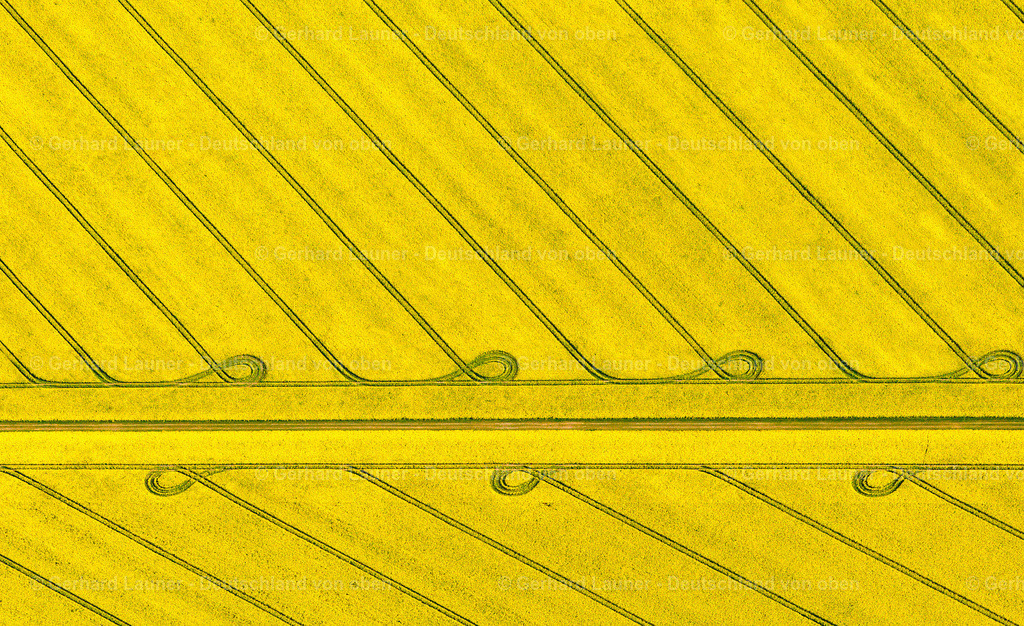 9400616 | Raps-und Feldstrukturen bei Schwerin