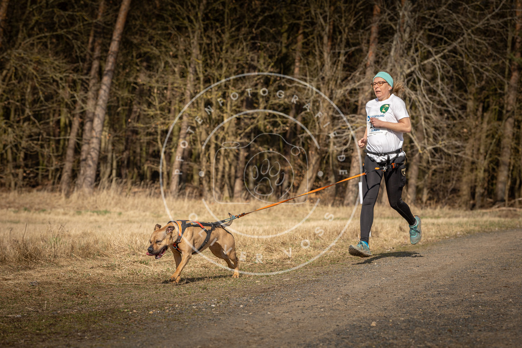 DV3A5961 | Hundefotografie, Tierfotograf, Pfotenfotografie, Fotoshooting Hund, Hunde Portrait, Hundesport, Hundeportraits, Heideshooting, Hunde, Sportfotograf, Hundefotograf, Turnierhundsport, THS,  - Realisiert mit Pictrs.com