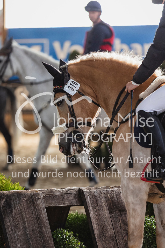 260322_HF-Schw_Gelaende-A-500 | Deine schönsten Turniermomente als professionelle Fotos! Entdecke hochwertige Pferdesport-Fotografie im Online-Shop. Jetzt Fotos finden & bestellen!