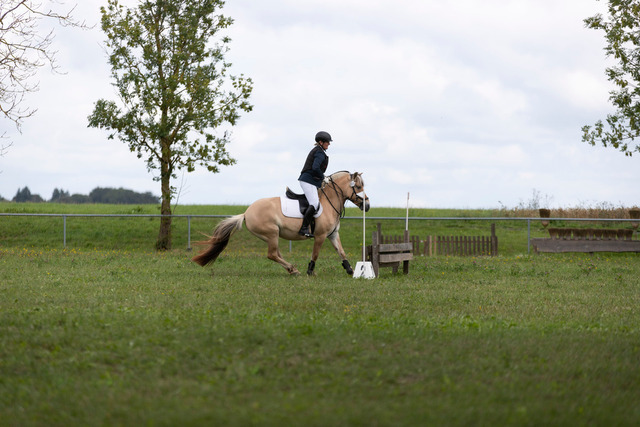 IMG_9053 | normansfotografie - Realisiert mit Pictrs.com