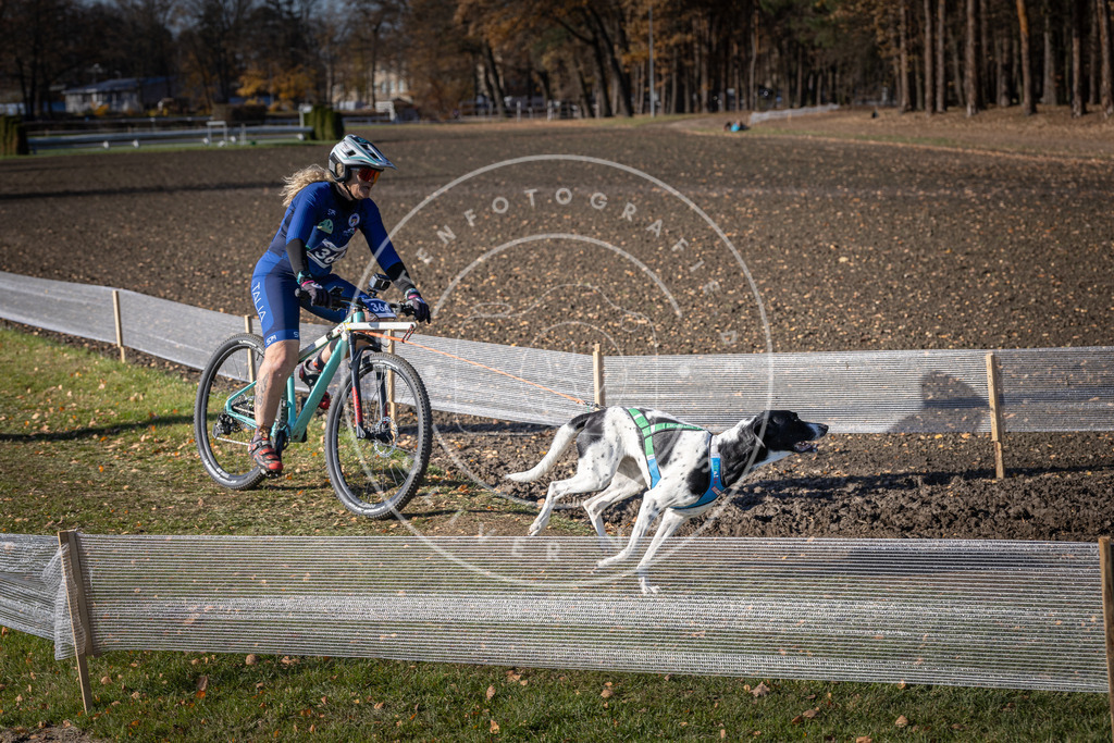 CaniXpix_DV3A7502 | Hundefotografie, Tierfotograf, Pfotenfotografie, Fotoshooting Hund, Hunde Portrait, Hundesport, Hundeportraits, Heideshooting, Hunde, Sportfotograf, Hundefotograf, Turnierhundsport, THS,  - Realisiert mit Pictrs.com