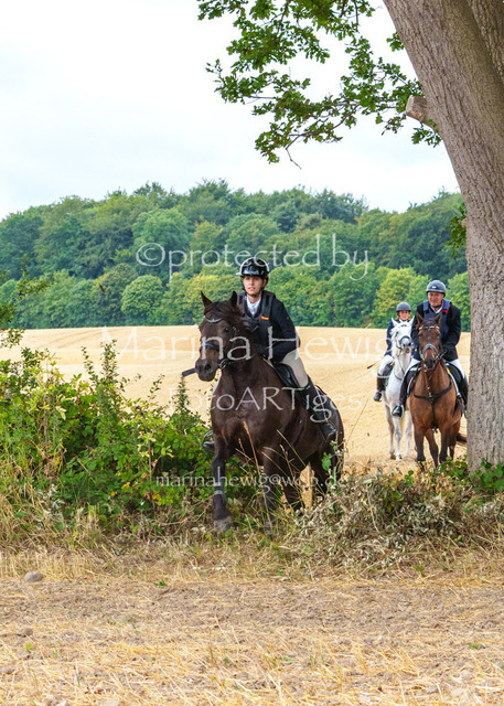 Jagd Knoop 26_MarinaHewigMCH02228 | Fotografie, FotoArt, PferdesportArt, Pferdesportfotografie, Landschaftsfotografie, Reisefotografie, Reise, Pferde - Realisiert mit Pictrs.com