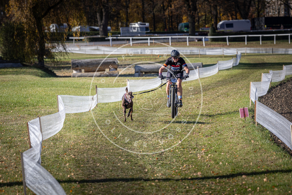 CaniXpix_DV3A6408 | Hundefotografie, Tierfotograf, Pfotenfotografie, Fotoshooting Hund, Hunde Portrait, Hundesport, Hundeportraits, Heideshooting, Hunde, Sportfotograf, Hundefotograf, Turnierhundsport, THS,  - Realisiert mit Pictrs.com