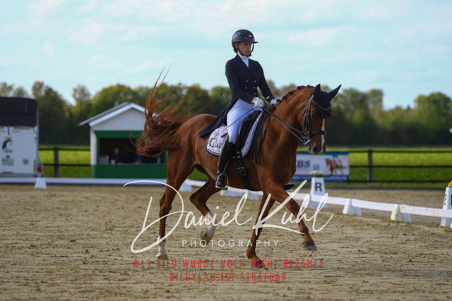 DKP45615 | Turniersportfotografie; Pferdefotografie; Dressurfotografie