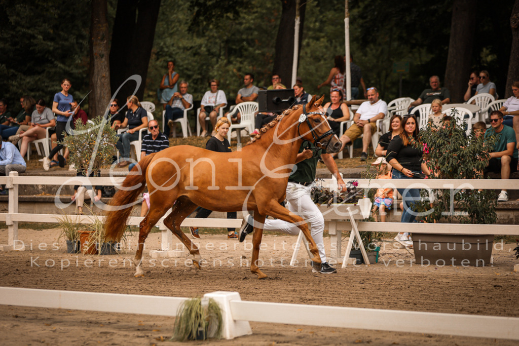 10.So00063 | Leoni Ertmer Photography - Realisiert mit Pictrs.com