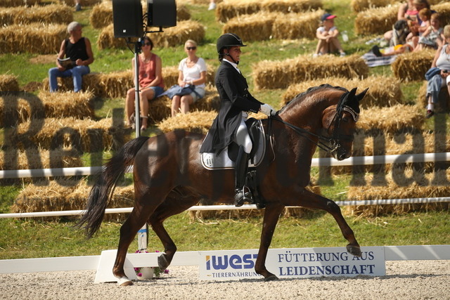 Birkhof_2022_GrandPrixSpecial_Martina Steisslinger_Favory A.S (4) | Alle Fotos der Reiterjournal Fotografin Doris Matthaes im Reiterjournal Online-Fotoshop. - Realisiert mit Pictrs.com