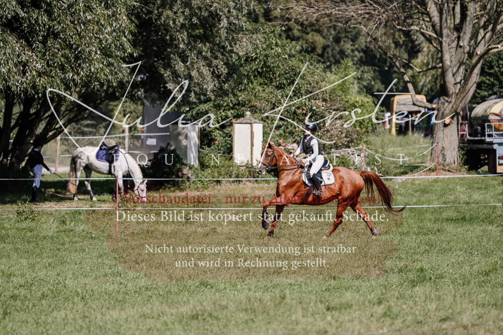 DSC_2672 | Pferde- und Turnierfotografie in Westsachsen. Pferdeportraits, Auftragszeichnungen und intuitive Kunst.