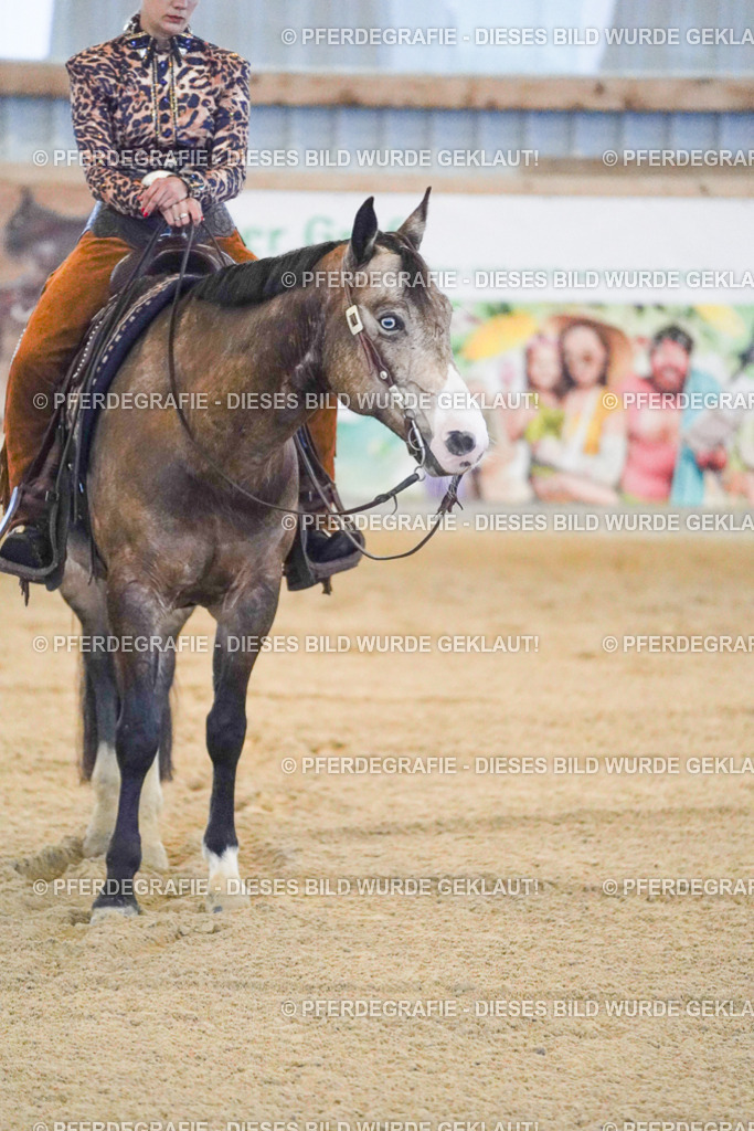 DSC08862 | Pferdegrafie