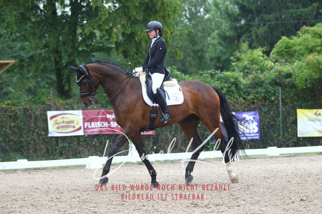 DKP40231 | Turniersportfotografie; Pferdefotografie; Dressurfotografie