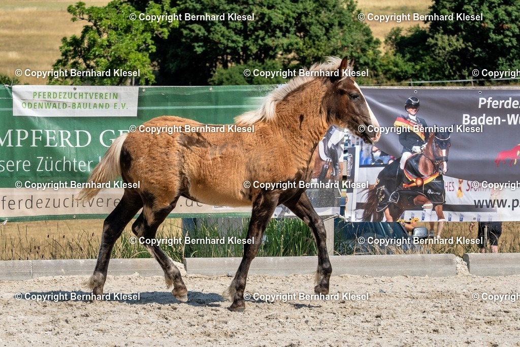 A1S09744 | foto-team-bernhard - Realisiert mit Pictrs.com